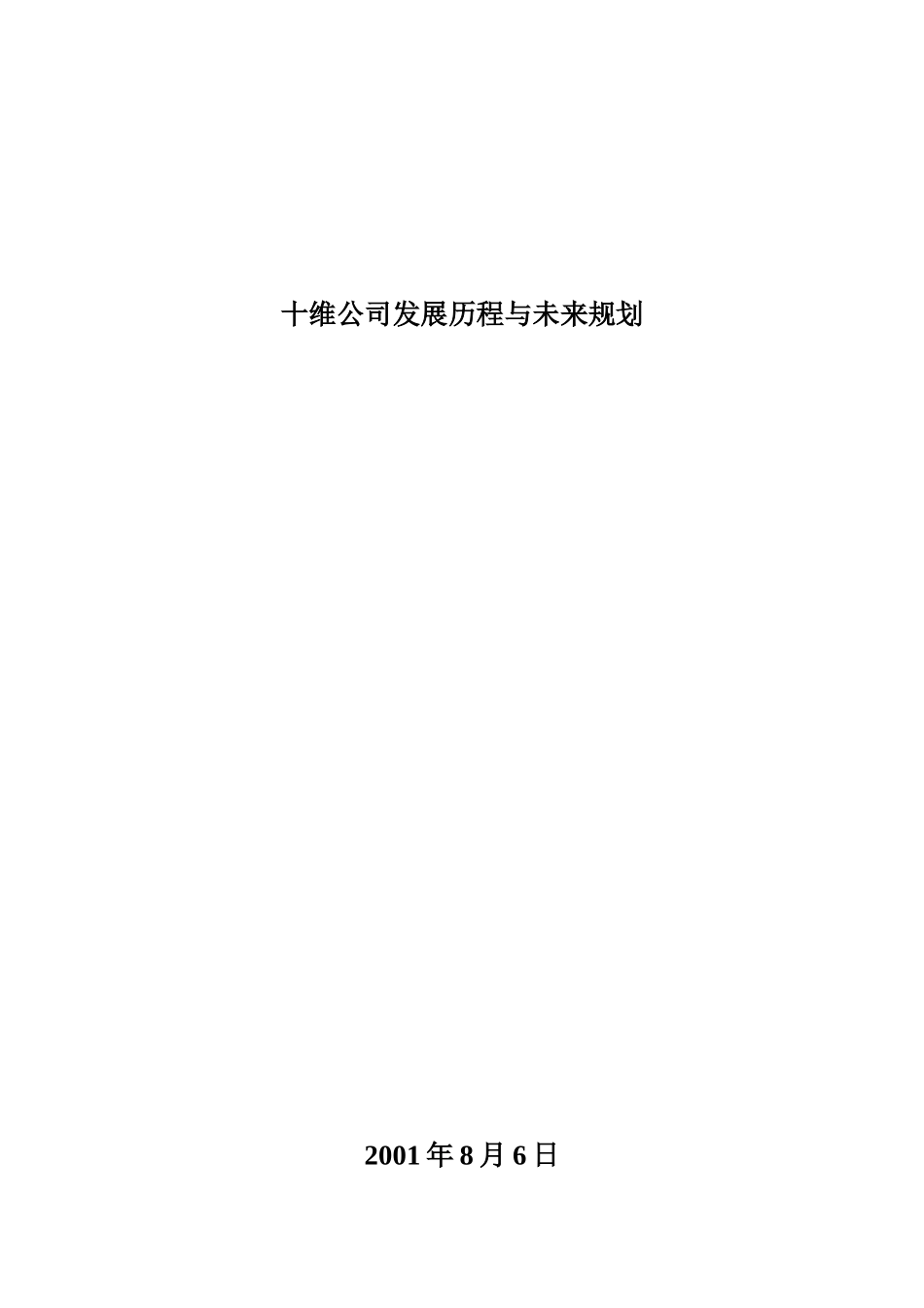 十维公司发展经验与未来划划.doc_第1页