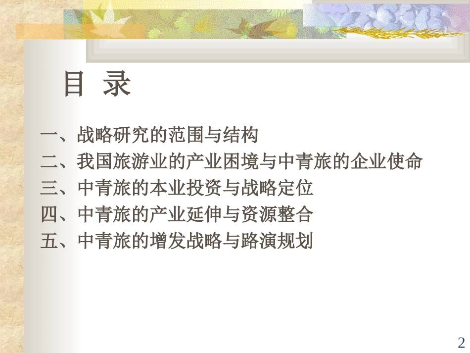 中青旅李肃汇报稿815.ppt_第2页