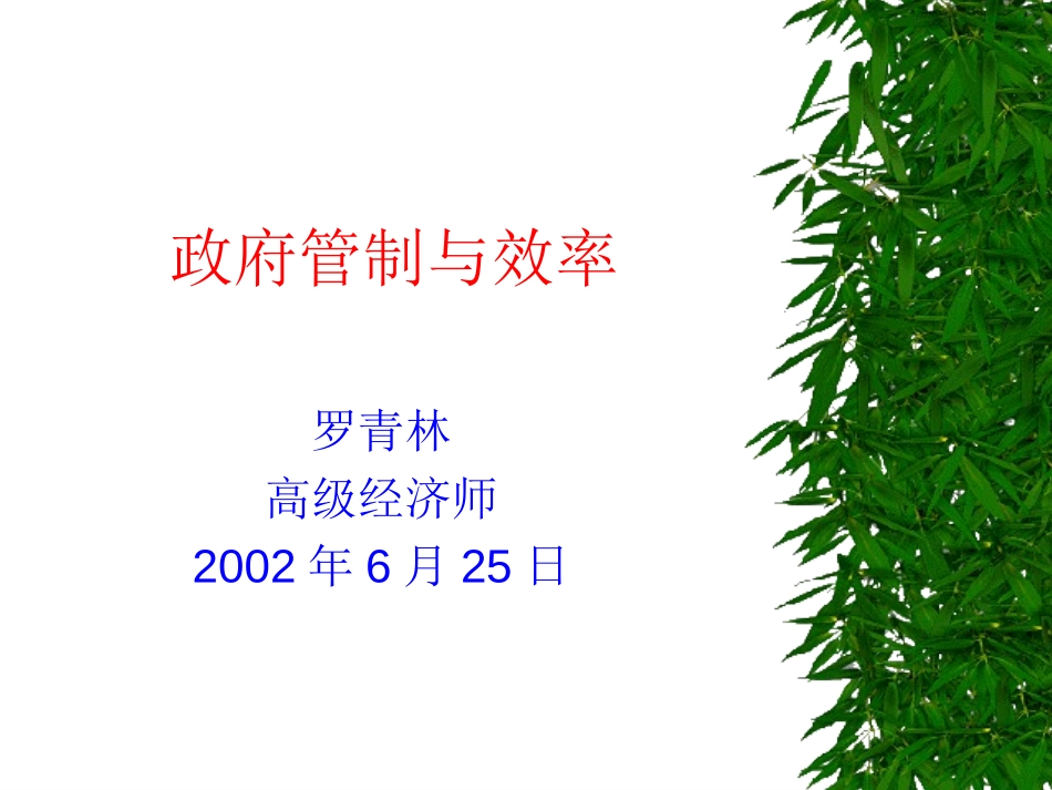 政府管制与效率.ppt_第1页