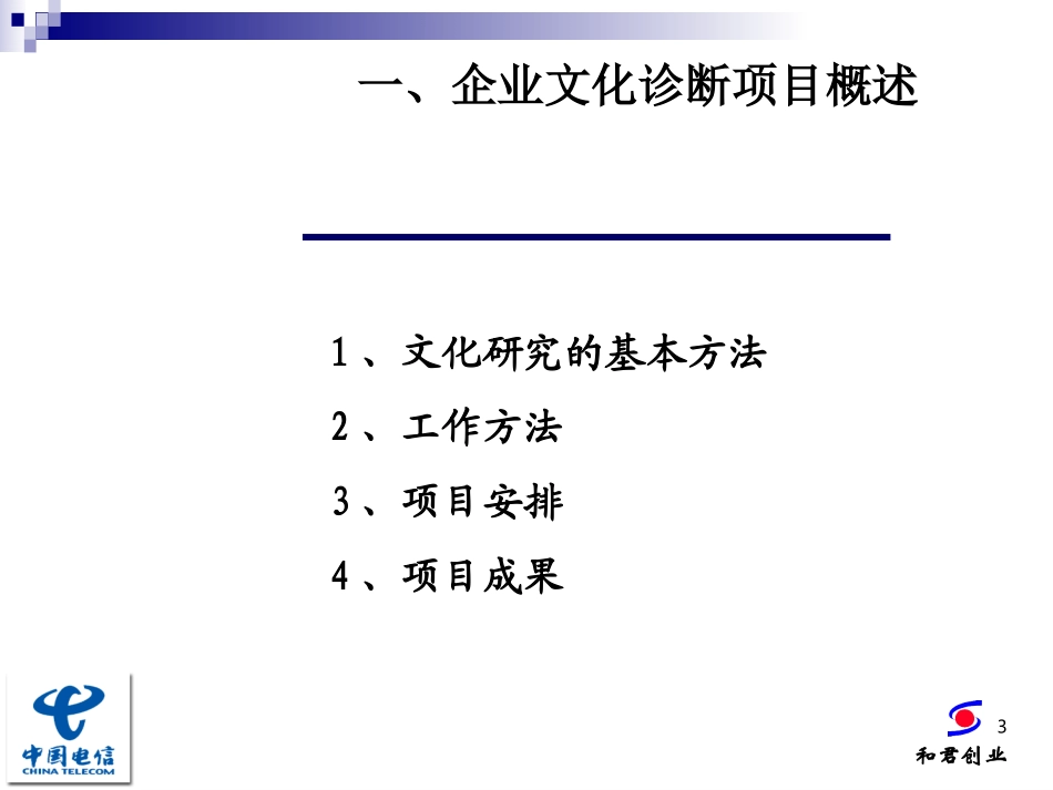 中国电信诊断报告(终稿).ppt_第3页